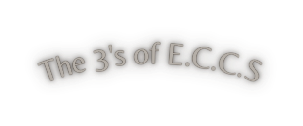 The 3 s of E C C S